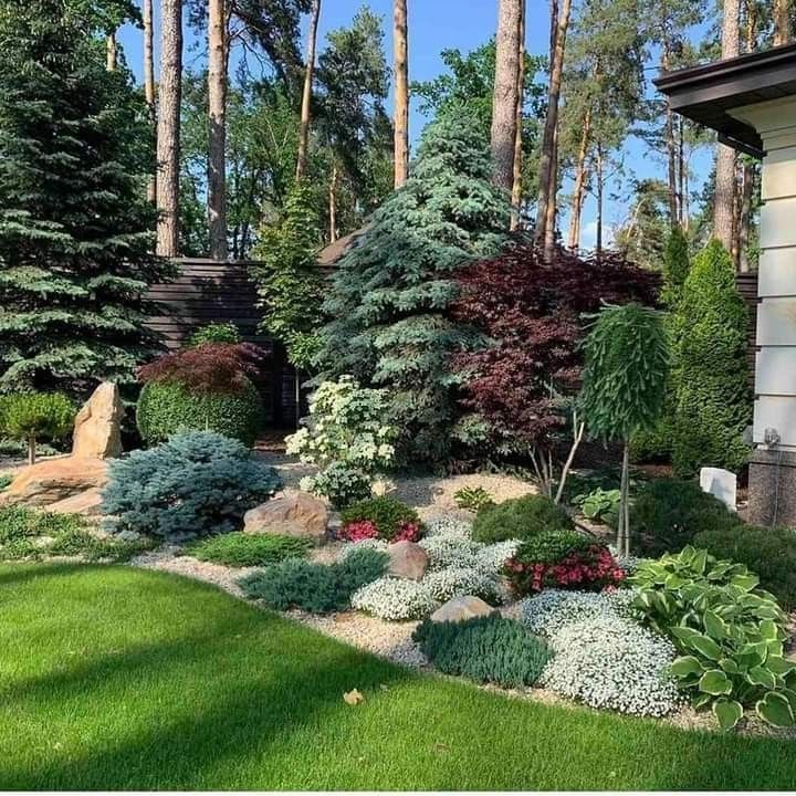 Reasons you should make the
evergreen landscape your best choice