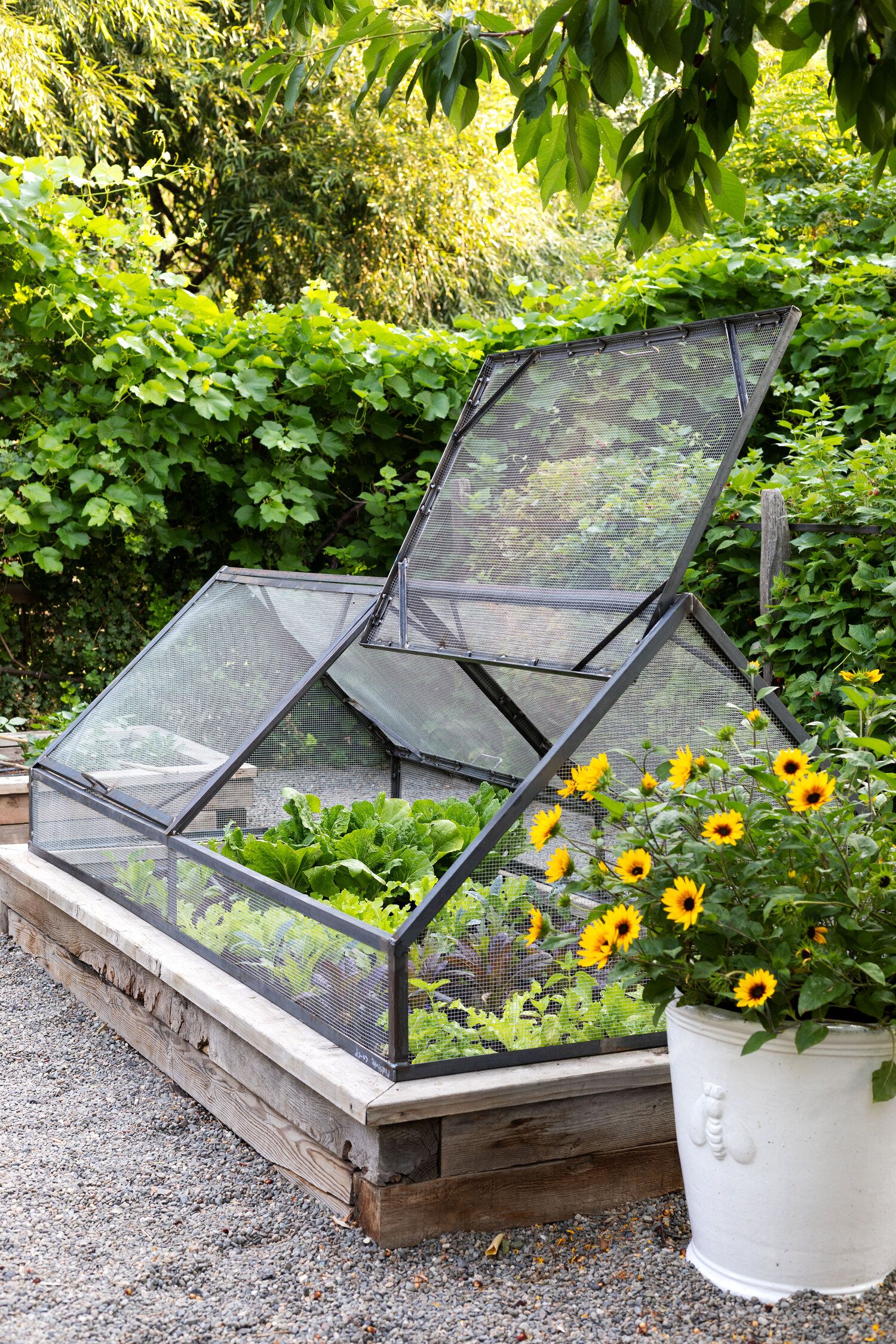 Dreamy Garden Escapes: Unveiling Creative
Garden Bed Designs