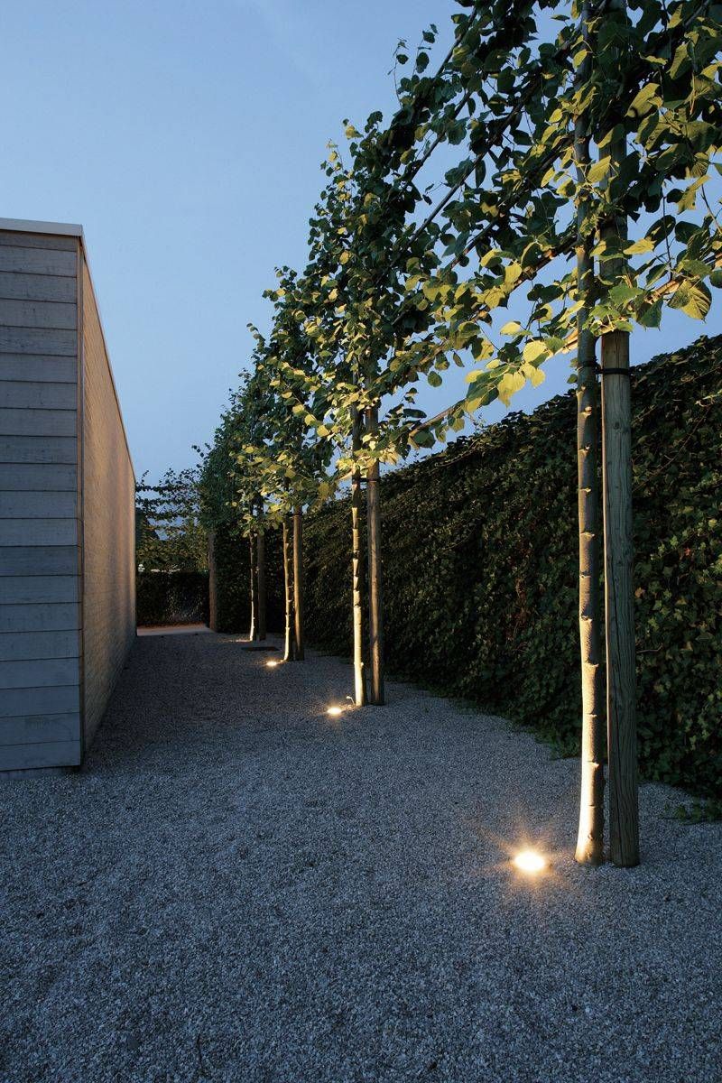 Lit up your Compound and
Garden with Garden Wall Lights