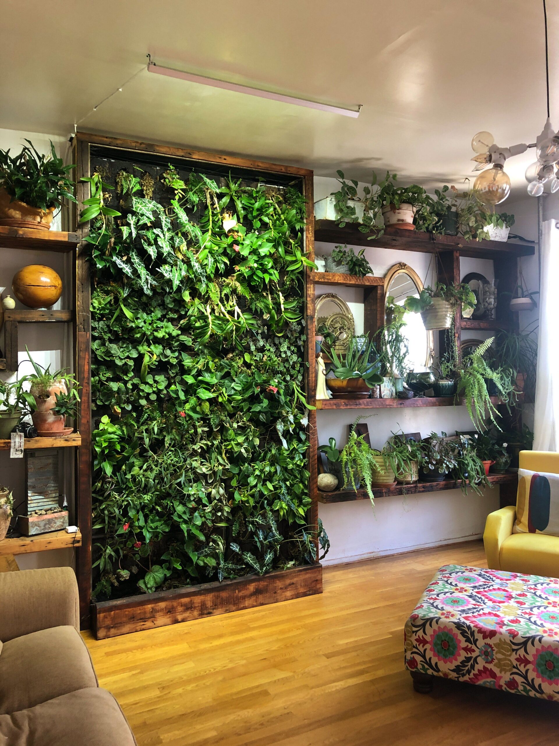 Tips for managing indoor
gardens