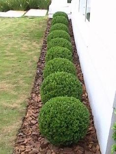 What influences landscaping
ideas for front yard