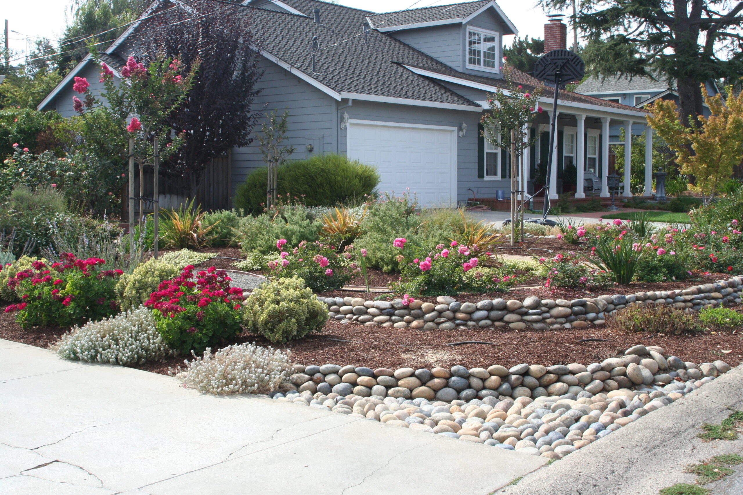 ... drought resistant landscaping 11 exclusive design the gardeners  anonymous blog BXSXNVC