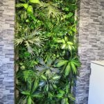 ... northbridge chiropractic - vertical garden feature wall FFNOIJD