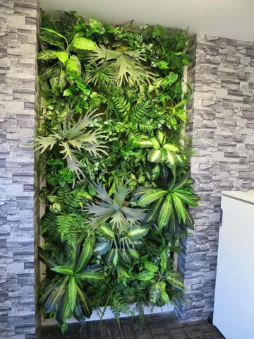 ... northbridge chiropractic - vertical garden feature wall FFNOIJD