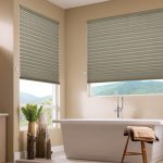 1 inch fashionpleat graber pleated shades SDZEKZH