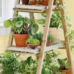 13 peaceful diy indoor garden ideas that brings the outdoors in WOUHDPT