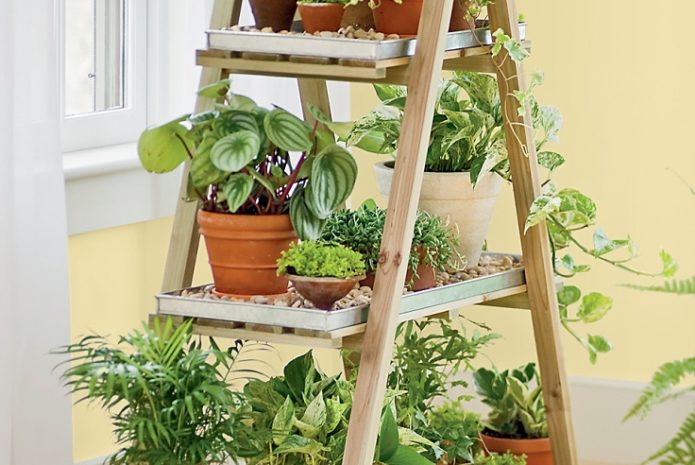 13 peaceful diy indoor garden ideas that brings the outdoors in WOUHDPT