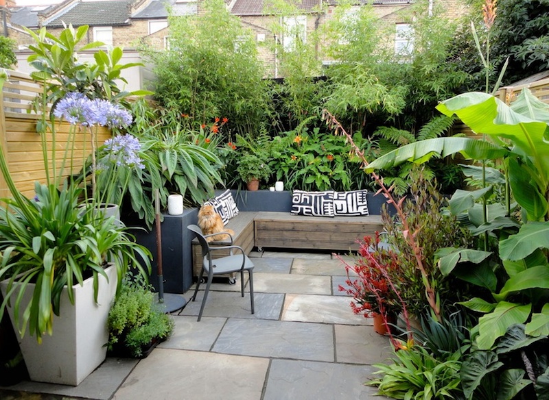 Essential small backyard ideas