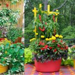 15 stunning container vegetable garden design ideas u0026 tips | balcony garden PIGBSQQ