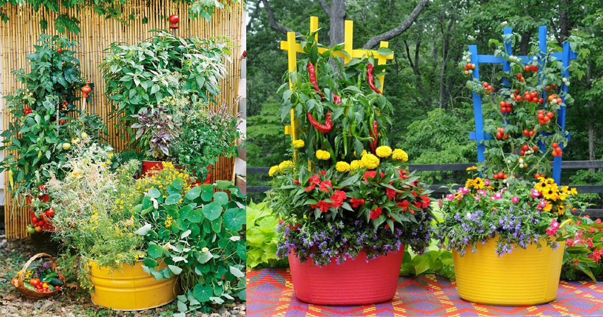 15 stunning container vegetable garden design ideas u0026 tips | balcony garden PIGBSQQ