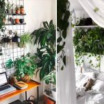 18 inspiring indoor gardens for anyone who doesnu0027t have a backyard SKYWICB