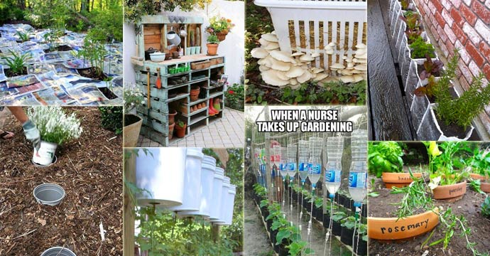 23 insanely clever gardening ideas on low budget QSSOAGY