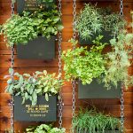 26 creative ways to plant a vertical garden - how to make NUXDAPR