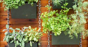 26 creative ways to plant a vertical garden - how to make NUXDAPR