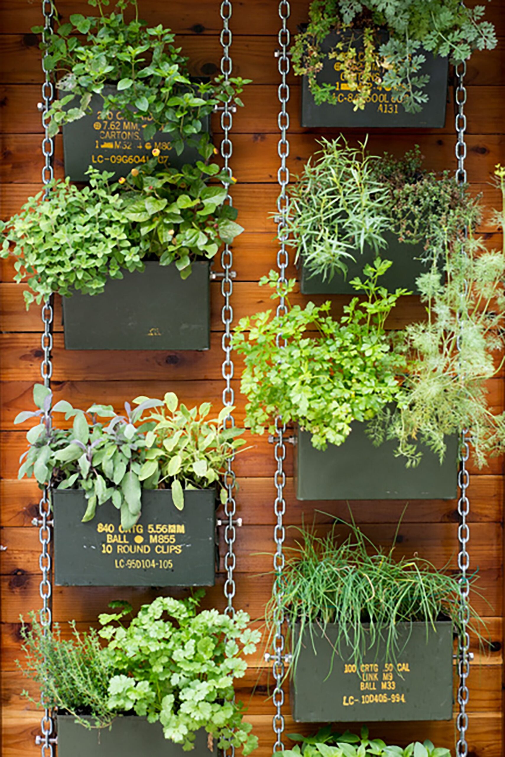 Why you must go for vertical
garden