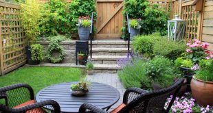 a small patio garden filled with plants SOSJGXT