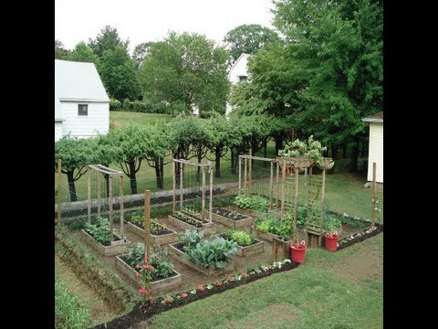 aimanu0027s mom backyard garden: grow your own organic vegetables u0026 ideas - MVRHQDH