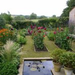 annie guilfoyleu0027s kitchen garden includes beds of colorful dahlias. MTJEXDV