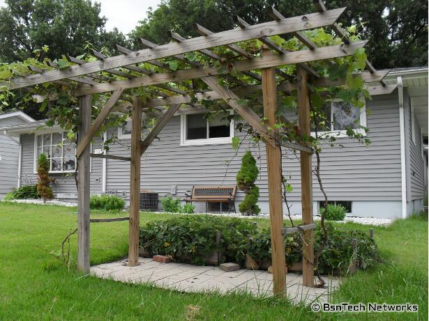 arbor for grapes arbor for grapes why you should build grape arbor GMPLIIX