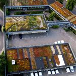 augustenborg botanical roof garden FQFYKIJ