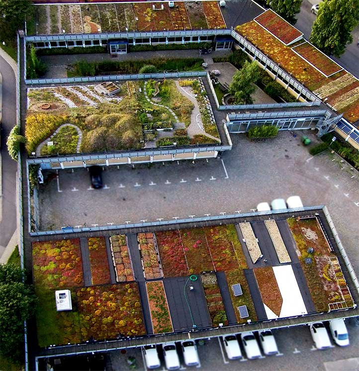 augustenborg botanical roof garden FQFYKIJ