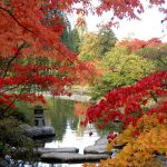 autumn at the seattle japanese garden LLCJZEP