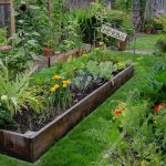 backyard garden are backyard gardens a weapon against climate change? KXWUEHG