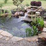 backyard pond backyard ponds: a quick springtime maintenance and care guide NWSXDCX