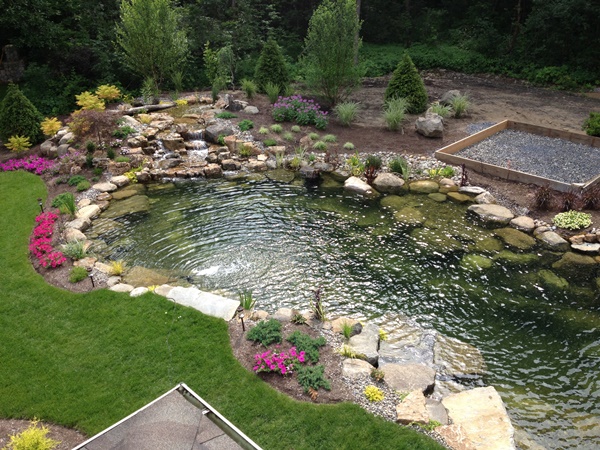 Add the Natural Beauty of  Nature to your Home by Adding a Backyard Pond