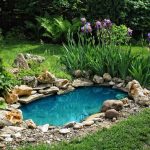 backyard ponds 15 breathtaking backyard pond ideas - garden lovers club YWIEQEM