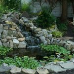 backyard ponds 6 essential elements of any backyard pond HJYBHDG