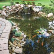 backyard ponds everything you need to know to build the perfect backyard pond UQBDNWX