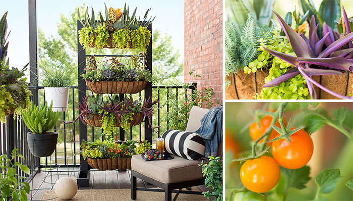 balcony garden ideas balcony garden with containers and vertical planter. BILABYP