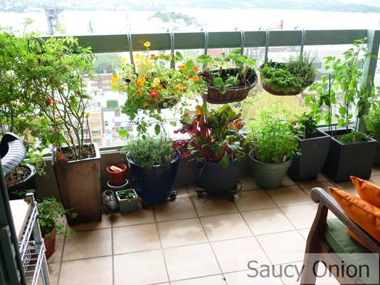 balcony garden ideas balcony gardening, source: saucyonion.files.wordpress.com HGBMPNS