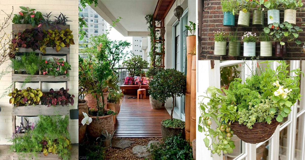 balcony garden ideas creative ideas for balcony garden containers | balcony garden web NPMBINA