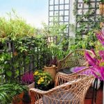 balcony garden ideas tip 5 balcony garden design tips (4)_mini WMLTCLS