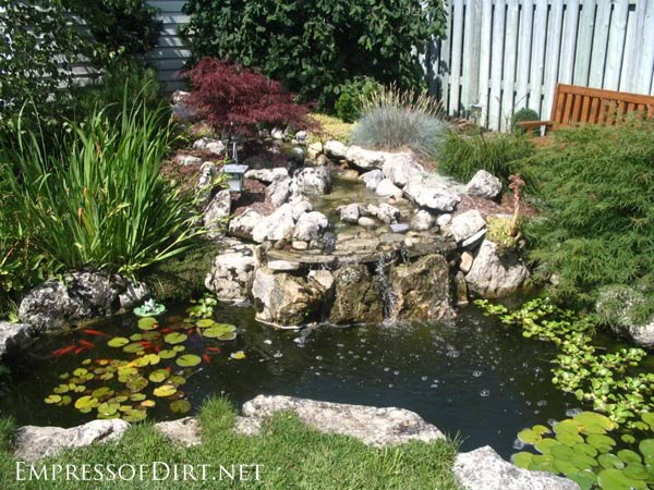 beautiful backyard pond ideas for all budgets | medium size inground garden LCWQTRV