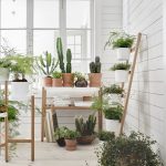 beautiful indoor garden ideas picture YRWXJPH