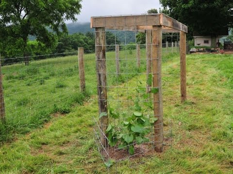 building a grape arbor HREDAYK