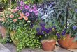 container garden arrangements: container gardening ideas and more KZIBAUB