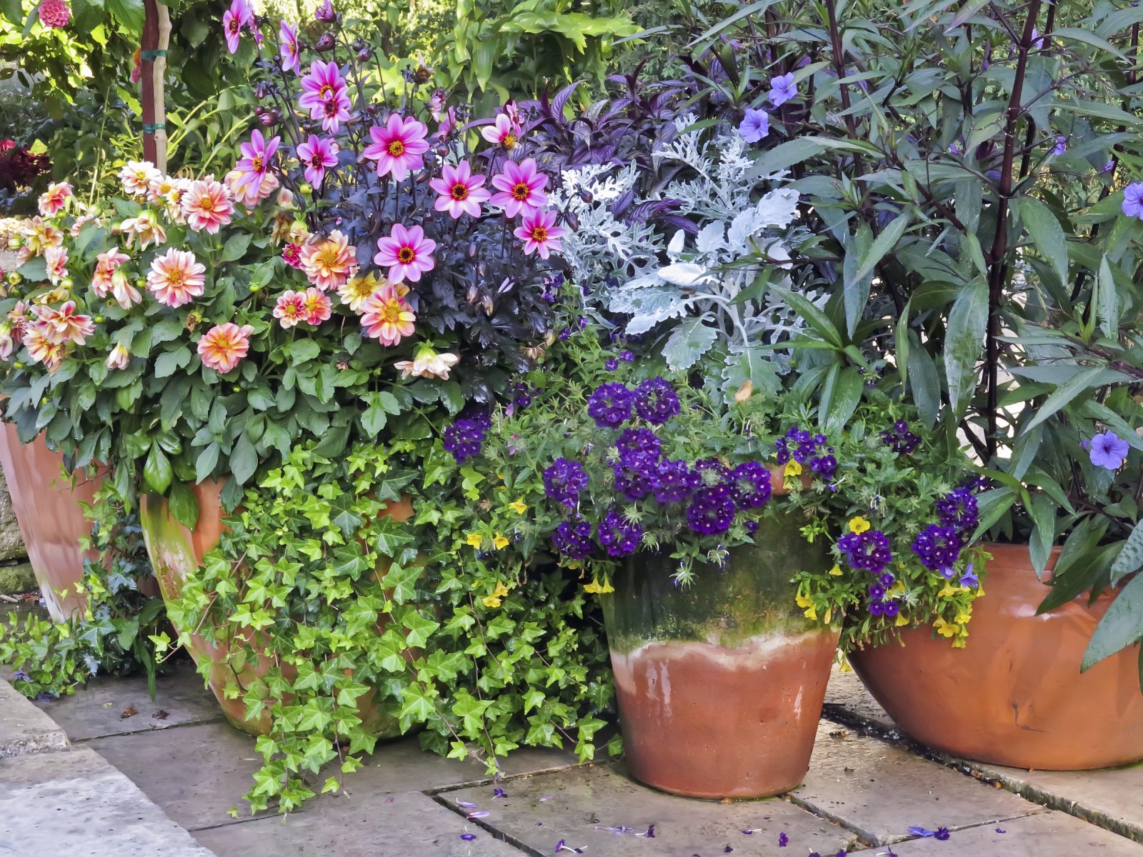 container garden arrangements: container gardening ideas and more KZIBAUB