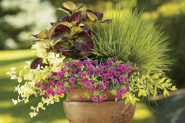 container gardening ideas big container garden ideas OPJQNOZ