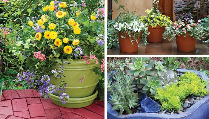 container gardening ideas container garden ideas KXPHSSU