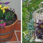 container gardening ideas container gardens PZELNPS