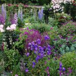 cottage garden cottage-garden-flower-border CGJZIXT