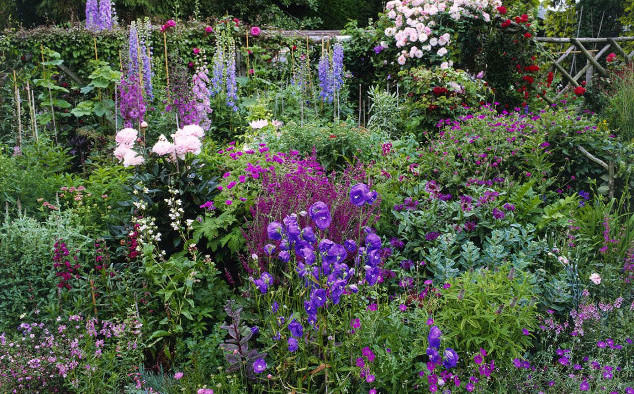 cottage garden cottage-garden-flower-border CGJZIXT