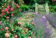 cottage garden image PBQWEYU