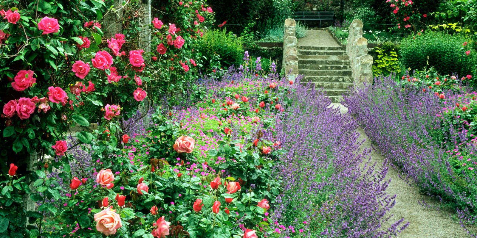 cottage garden image PBQWEYU