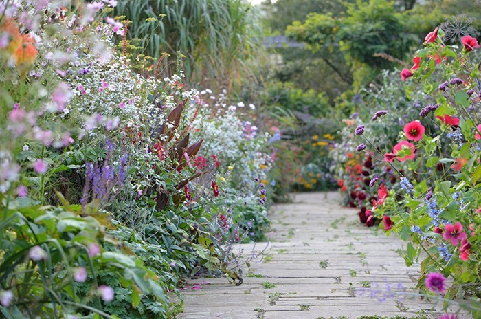 cottage garden william robinson, a victorian iconoclast who invented the idea of the u201cwild JUZYQBX