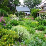 cottage gardens a cottage gardenu0027s colorful planting palette FQRTVSS